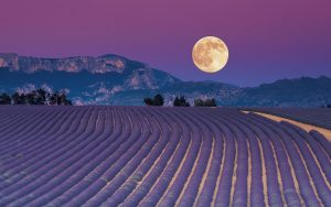 Fasi-della-luna-e-digiuno-lunare-per-purificare-il-corpo